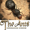 The Ants Underground Kingdom AntCoin Yükleme